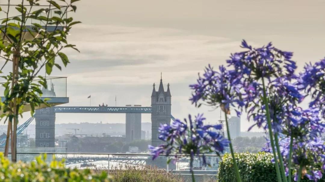 申请英国签证有邀请函通过率,申请英国签证去爱尔兰要多久时间