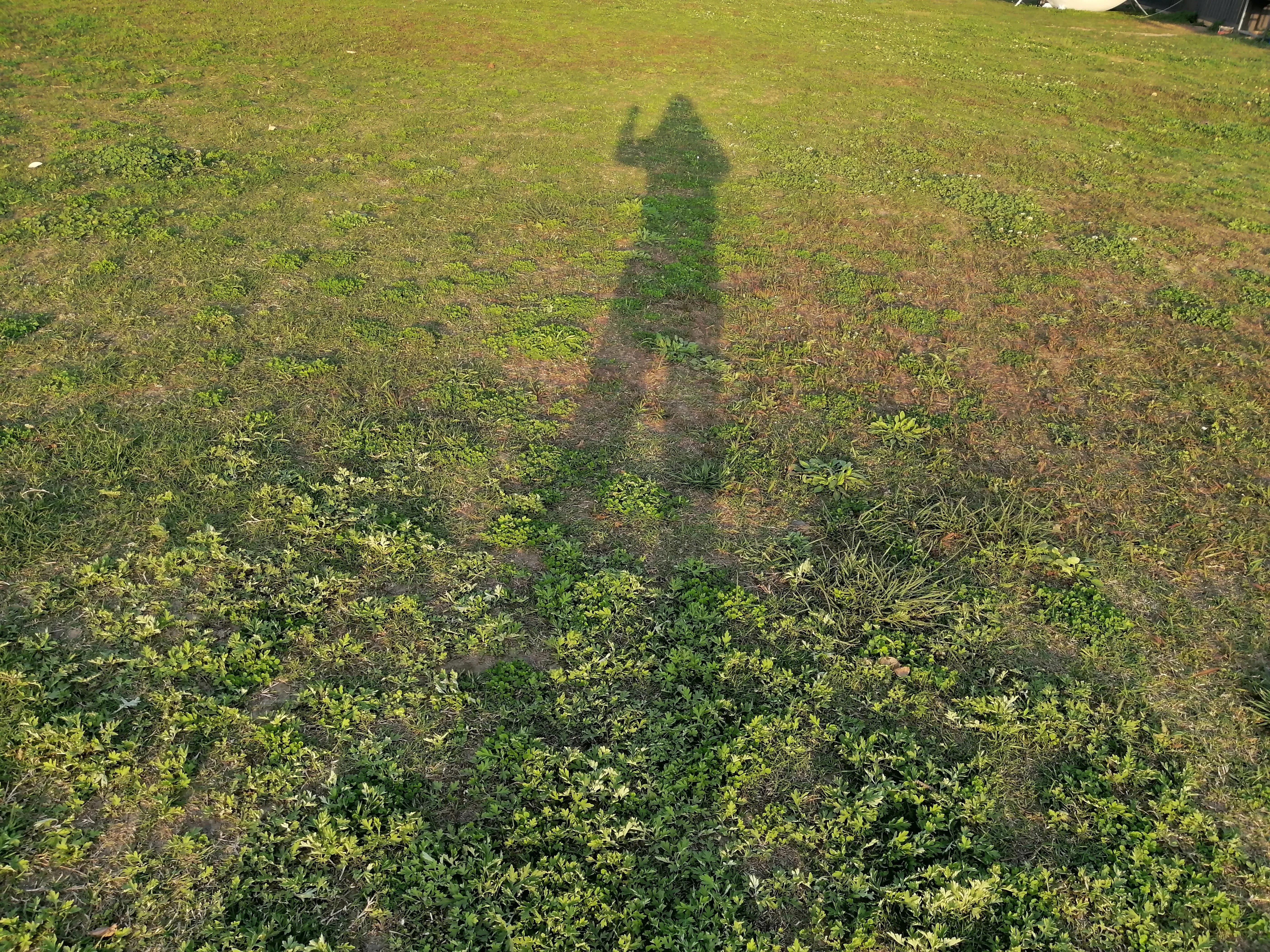 90后初中时代校园霸凌是怎么过的,当年校园霸凌的人现在怎么样了