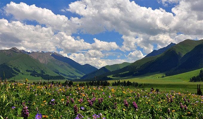 第一次跟团去*疆新**怎么玩，*疆新**旅游路线推荐