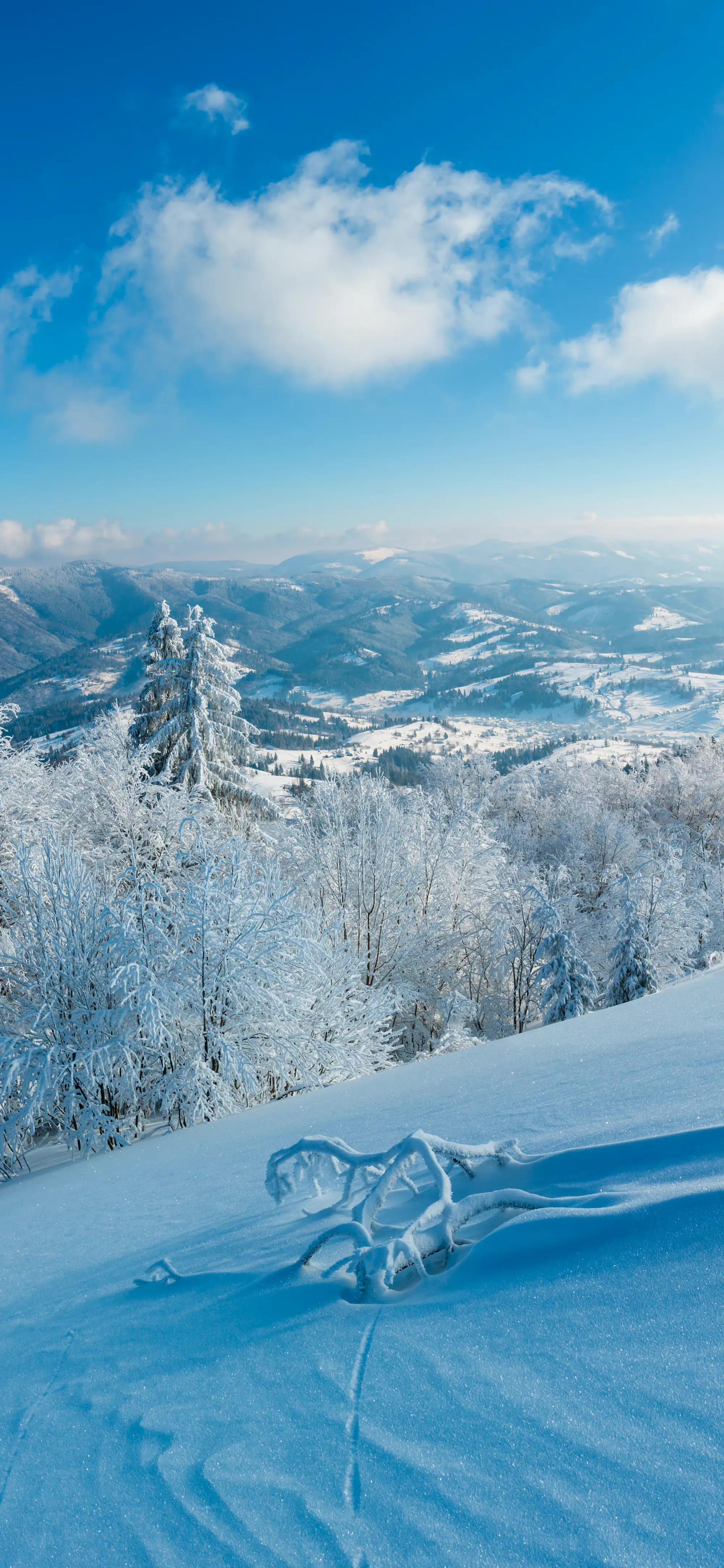 品读七首大雪诗词,大雪时节的唯美诗词