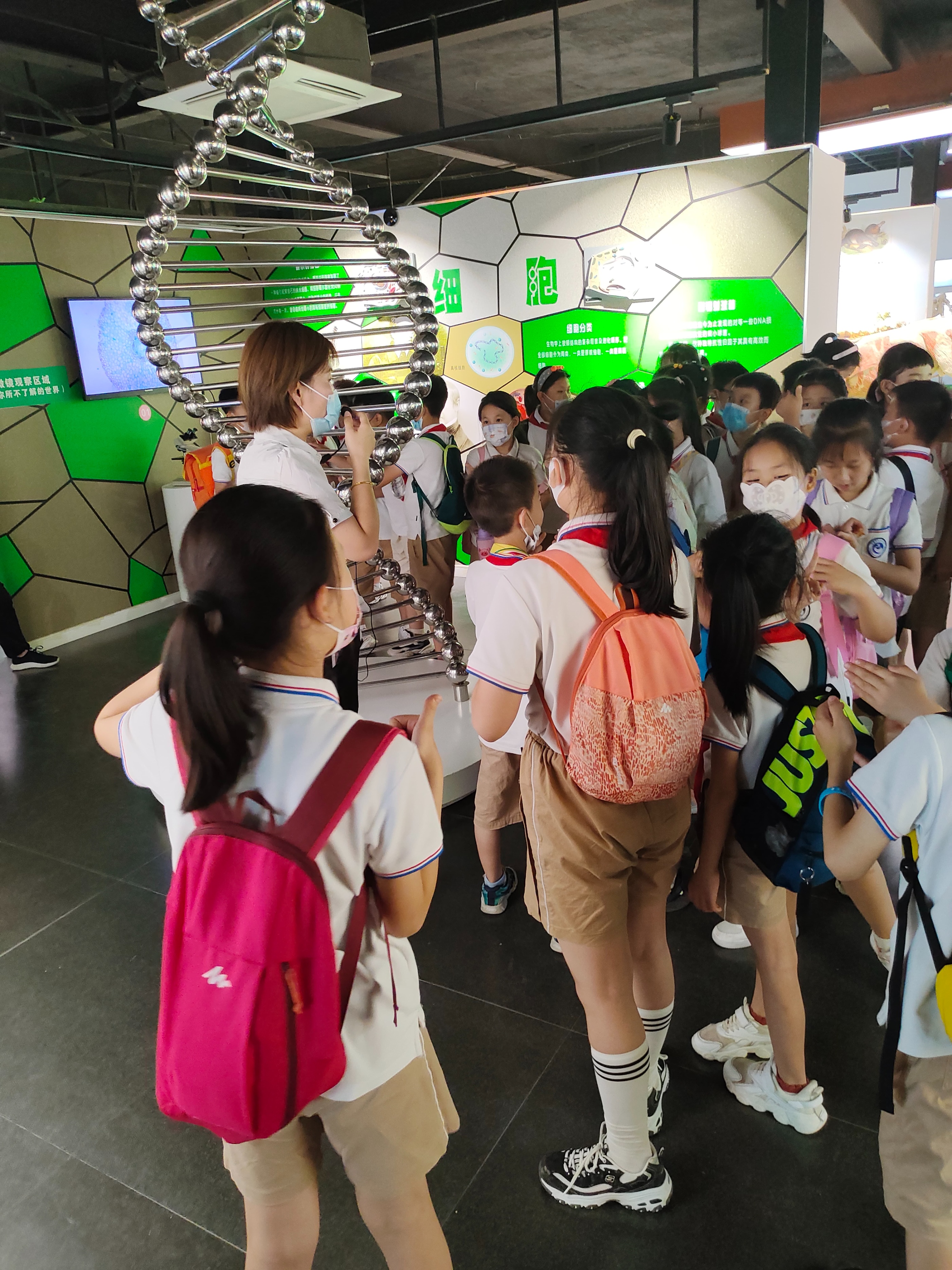 郑州生命自然科学馆,生命科学馆之旅