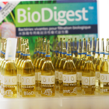 鱼缸里滑滑的是硝化细菌吗,鱼缸加盐会破坏硝化细菌吗