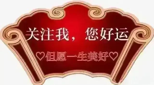 优美的萱草花,大花萱草好看的品种