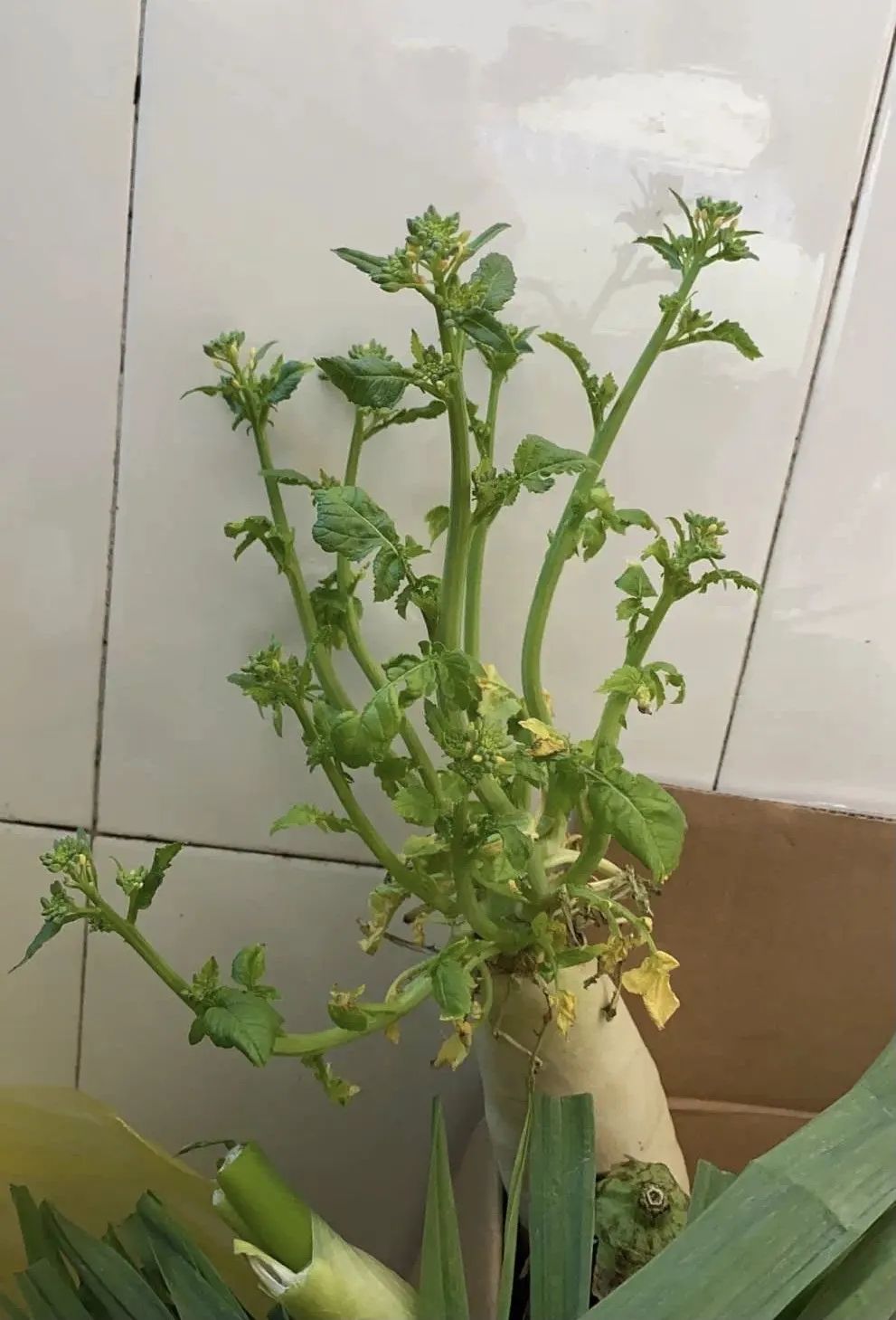 错过了一个秋天,错过了一个春秋