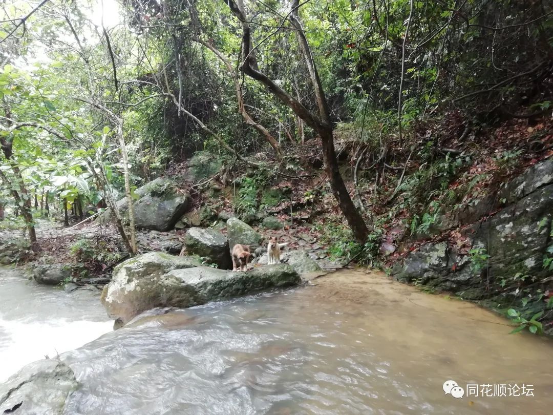 溯溪攀爬,溯溪徒步露营