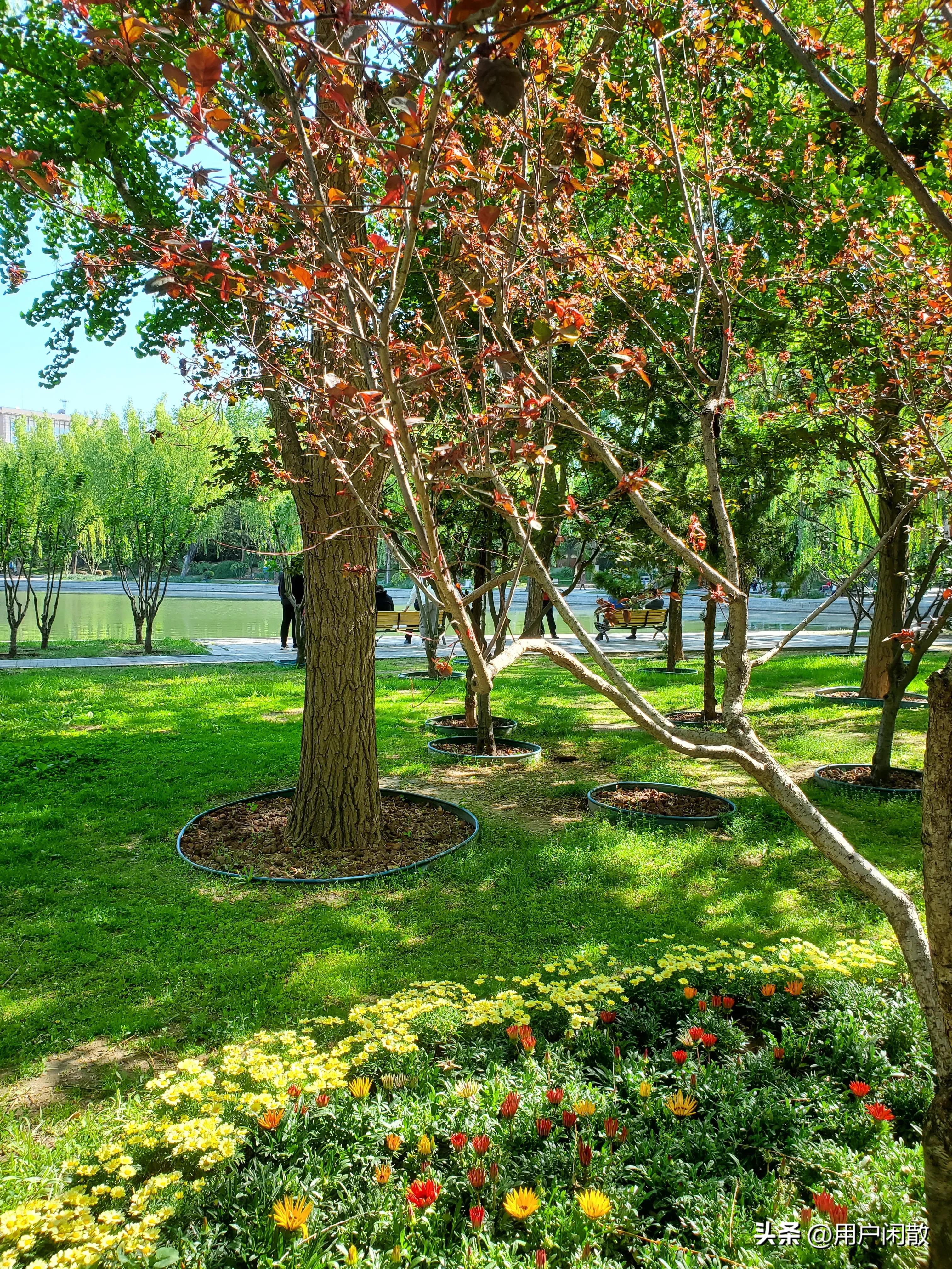 小清新养眼城市中藏着的迷你公园,城市中的静谧公园