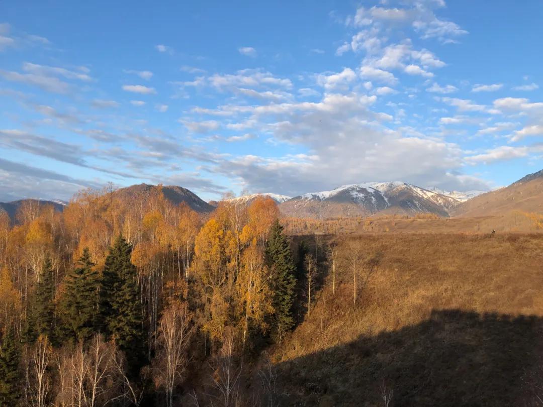 返程投资新规37号文原文,返程投资备案