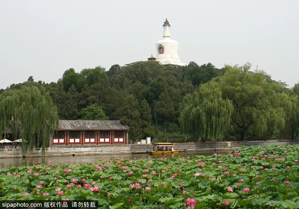 北京十大古典园林,来北京必逛皇家园林
