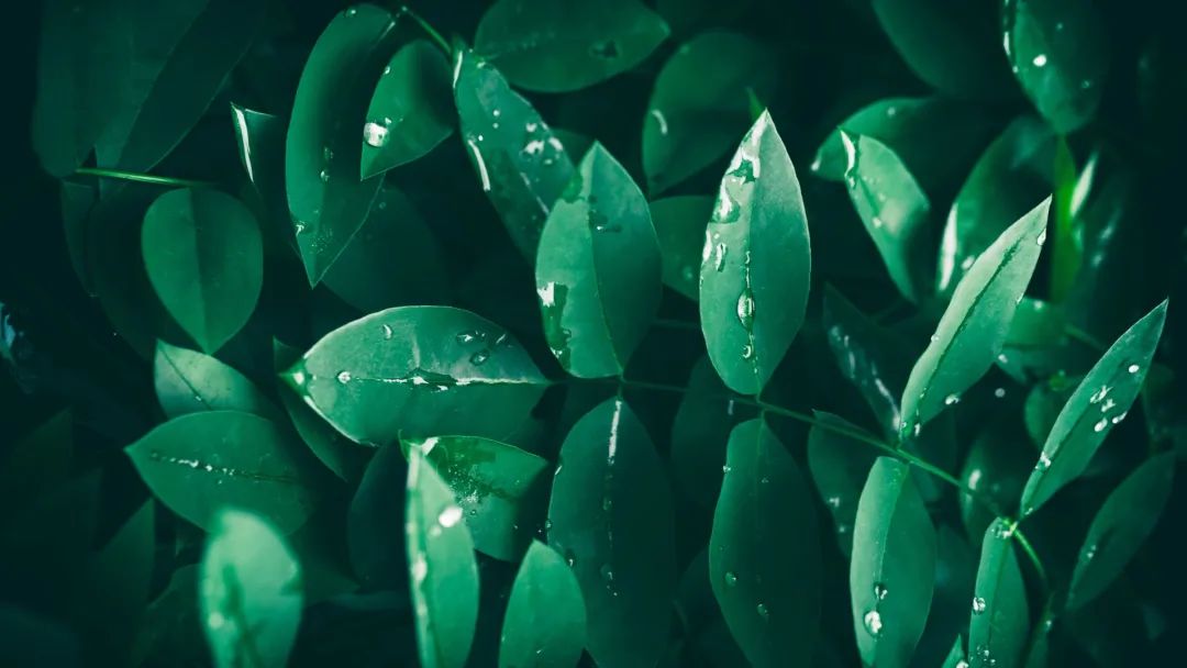 ppt不知道放什么图片,ppt不知道怎么没有颜色怎么办