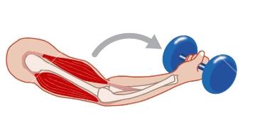 内旋发力的训练方法,羽毛球如何内旋发力