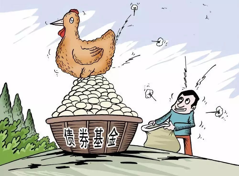 投资vs理财,股票基金和债券基金的投资分析