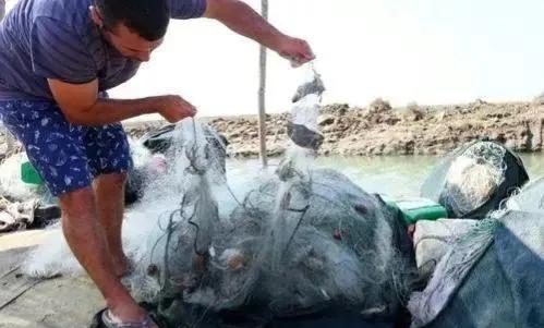 阿尔巴尼亚一个神奇的国家,你不知道的国家冷知识亚美尼亚篇