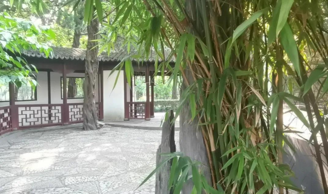 好学近乎知的读音,好学近知力行近仁是哪个学校的