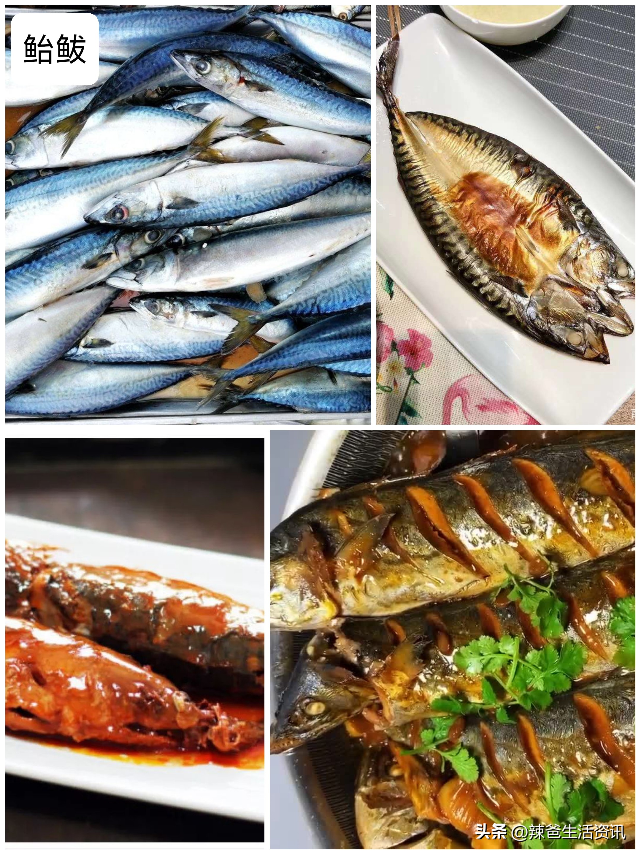 好吃的常见海鱼,比较好吃又便宜的海鱼有哪些