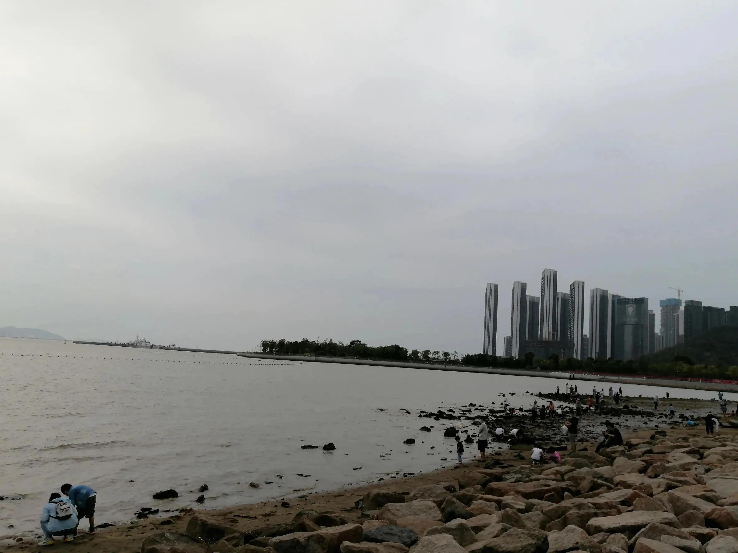 被“困兽”热情拥抱的深圳湾运动公园，该幸福大笑或痛苦尖叫呢？