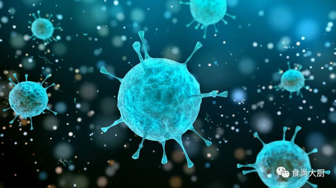 张文宏提高免疫力食物表 (张文宏说疫情期间提高免疫力)