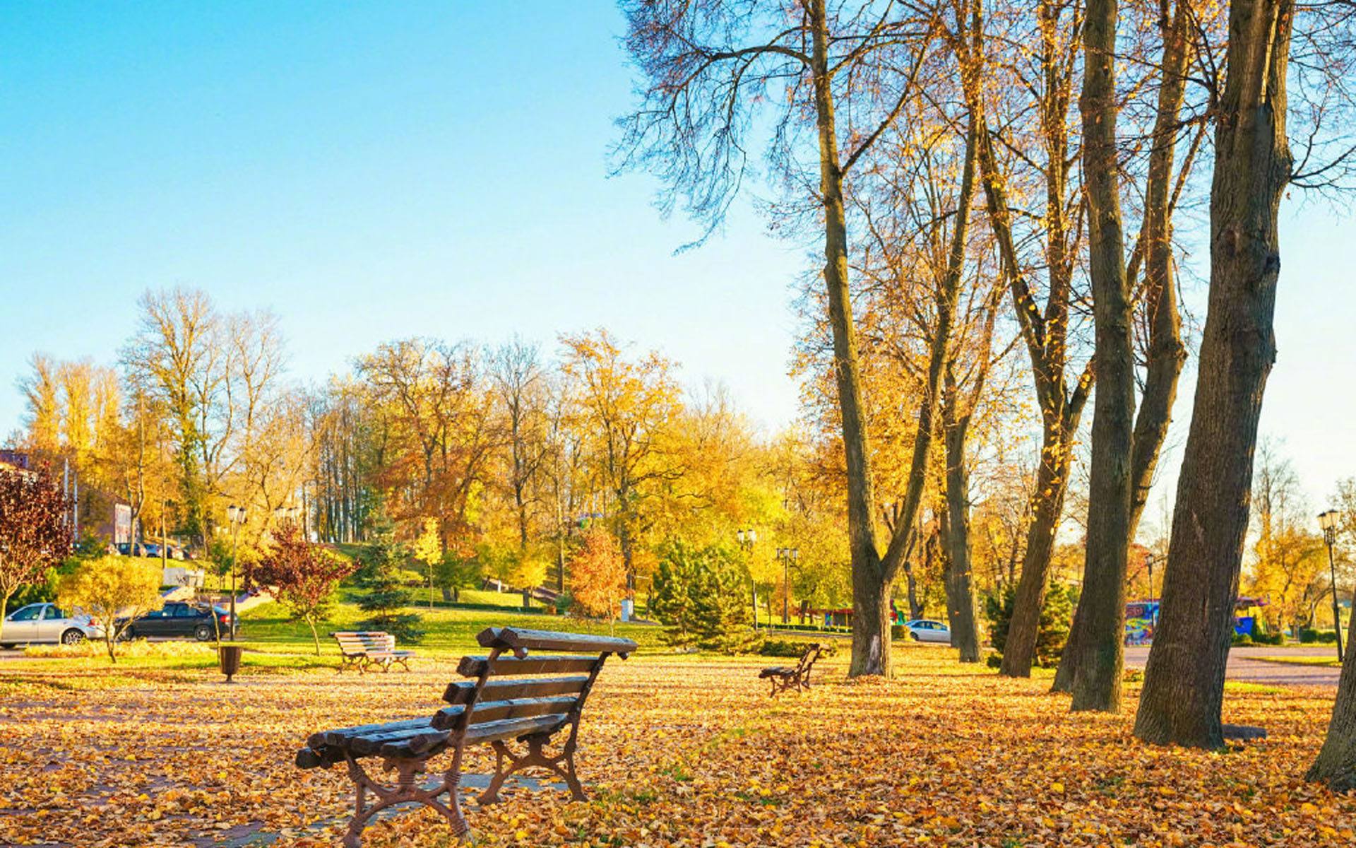 soho个人外贸创业,外贸soho创业选行业