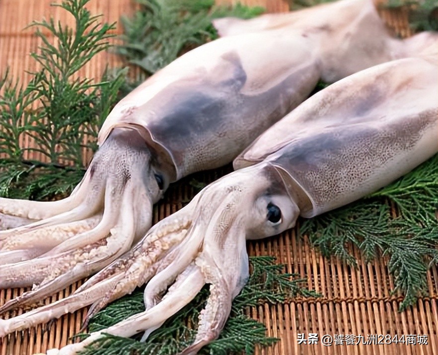 中国海鲜最好吃的城市排名前十,中国哪个城市海鲜最好吃排名