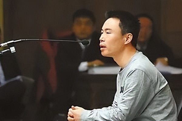 插上科技的翅膀飞讲解,插上梦想的翅膀也飞不出去