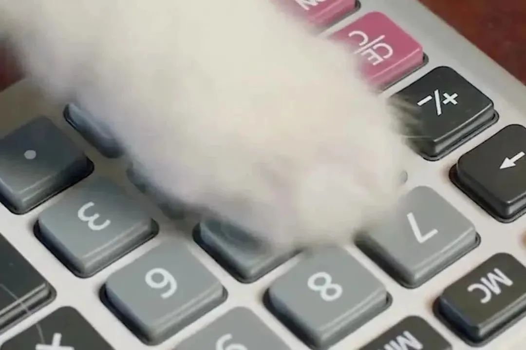 20万开店日营业额仅79元创业失败,20万投资实体店生意惨淡