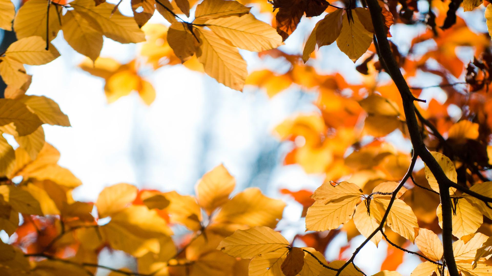 性格内向不爱说话有错吗文案,害羞腼腆内向不爱说话的小女生