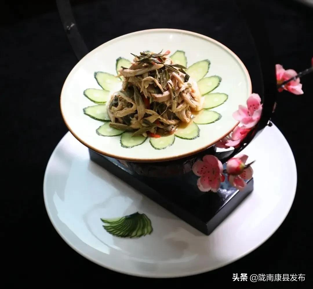 康养旅居风景区,康县康养小镇