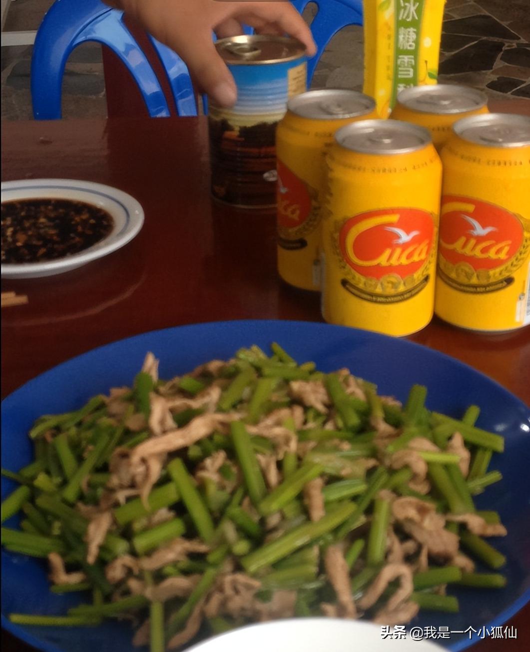 我在非洲安哥拉采辣木籽（我在安哥拉的日子313）