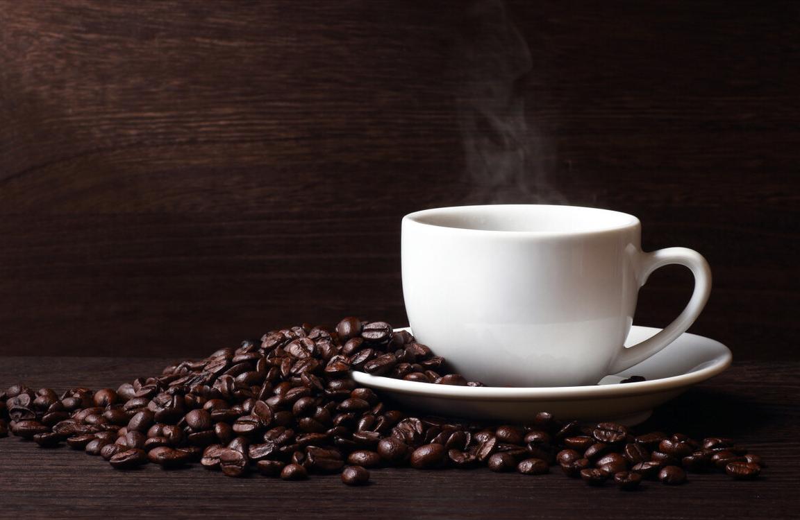 泰迪不能吃的全部食物,泰迪哪几种食物不能吃