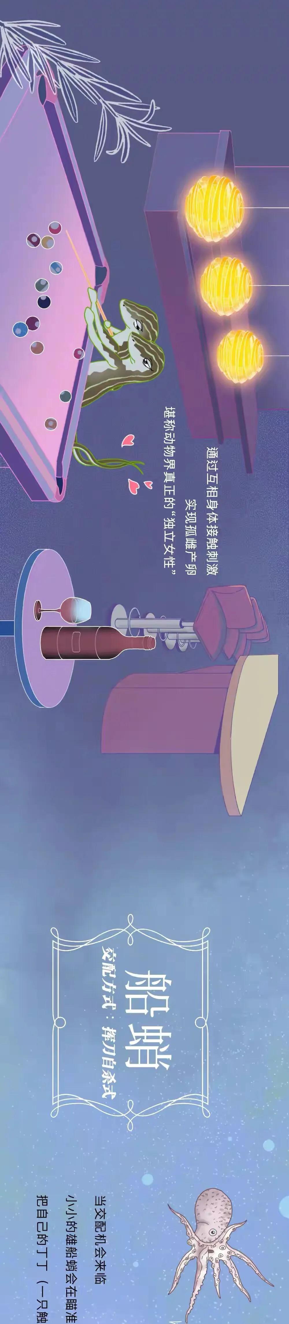 海陆空动物交配姿势对照表（严肃正经版）