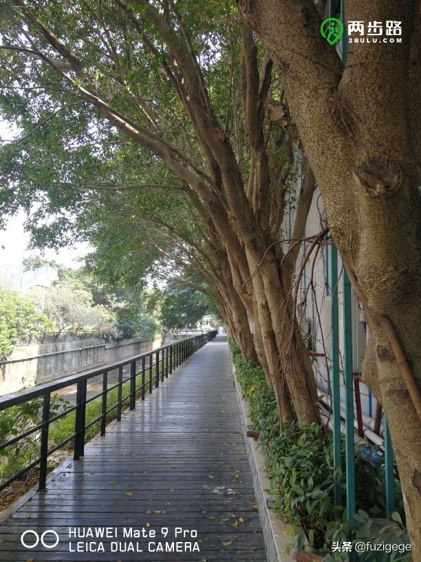 深圳徒步路线从梧桐山到盐田,深圳十峰大南山徒步最佳路线