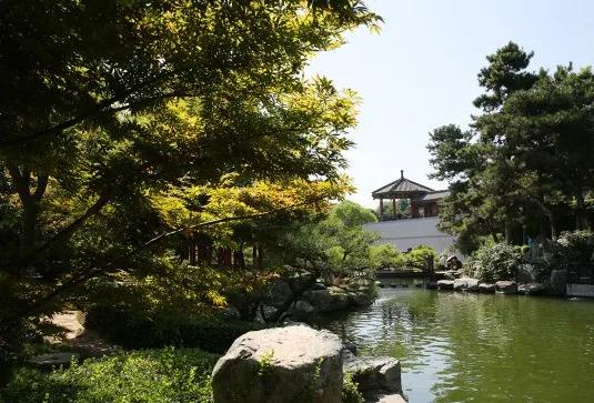 自由自在游来游去,鱼儿自由自在地游来游去