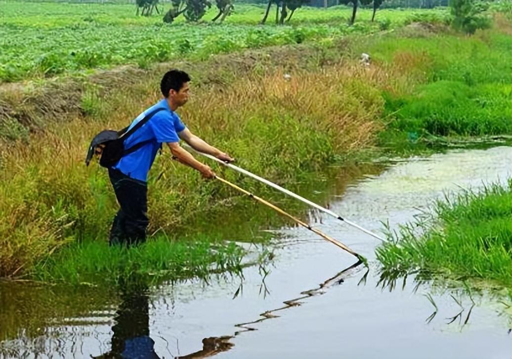 自家鱼塘电鱼被罚网友提问,自家鱼塘电鱼被罚引评论