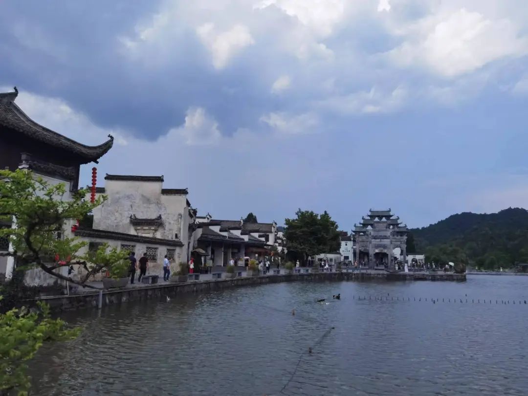 皖南山林里的底气｜炜衡跨境资本市场部成立小记