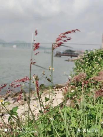 昌平长峪城农家院猪蹄宴