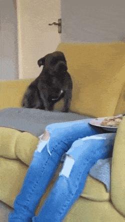 78个真实有趣的照片：山顶的足球场，老树与佛像，老司机脸部皮肤