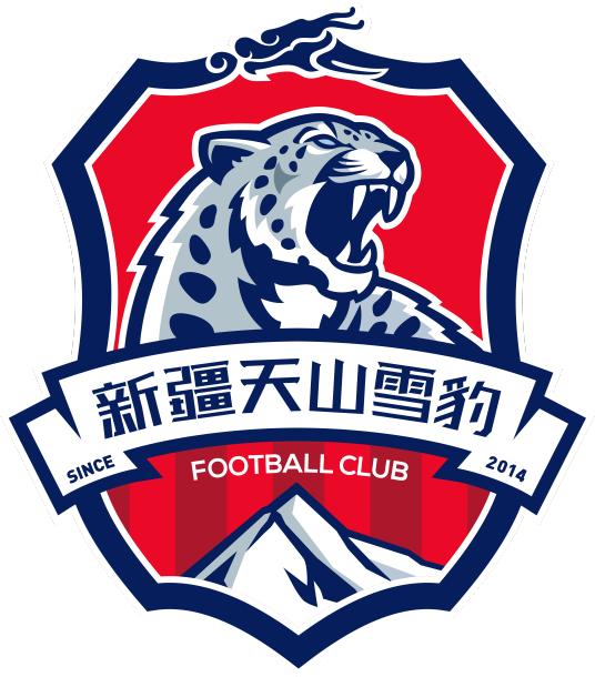 天山雪豹足球俱乐部努尔,天山雪豹足球俱乐部什么等级