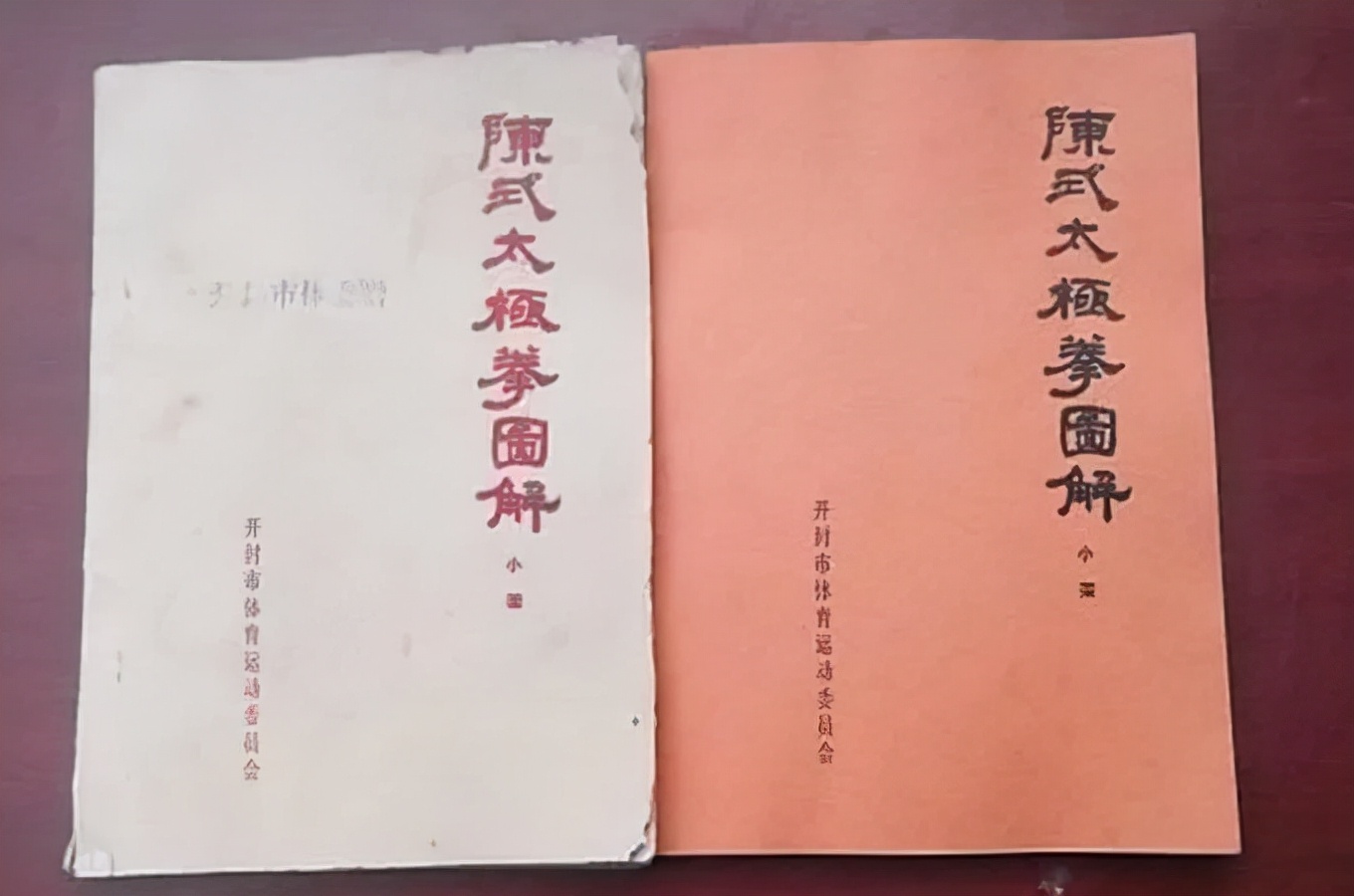 沉痛悼念陈道长,沉痛悼念陈林英雄