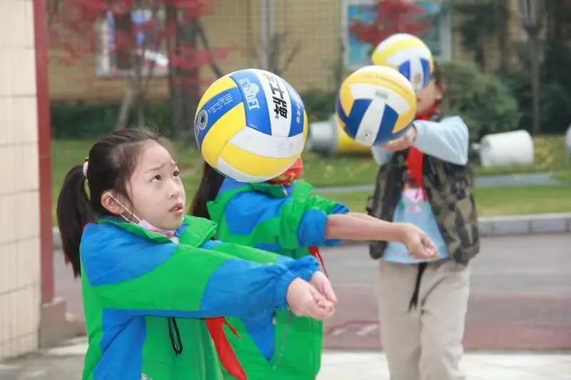 成都市双流区永安小学排球,九江市小学暑期托管
