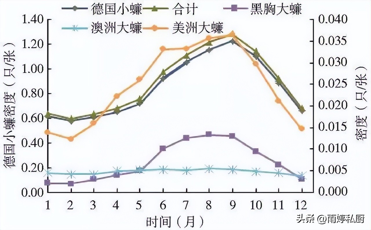 蟑螂最怕3个克星怎么样消灭蟑螂,怎么去除蟑螂蟑螂最怕什么
