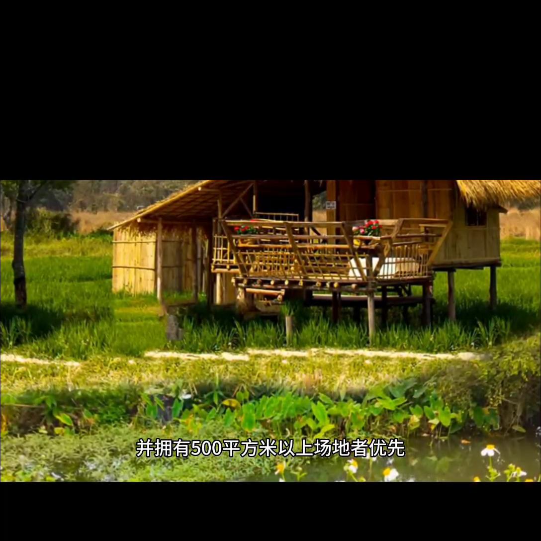 醉美天下音乐节,醉美天下音乐