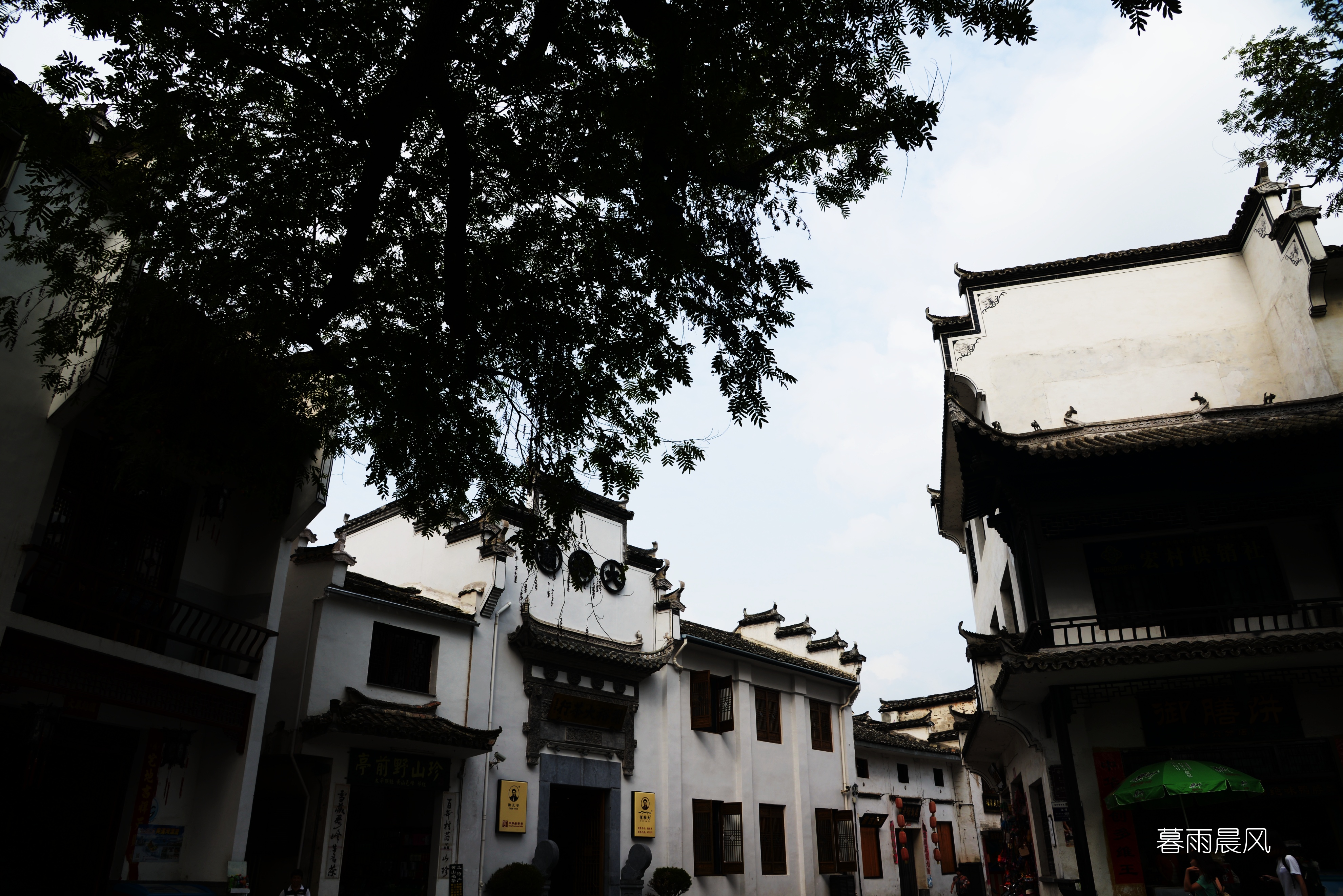 2014年黄山游,2014黄山银毫