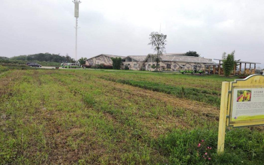 日本人在山东租了1500亩地,日本人在山东租地1500亩现状