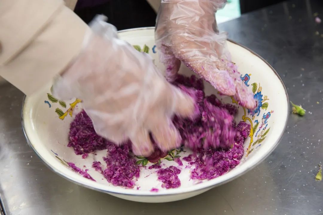 玫瑰和月季的所有种类,比较经典的玫瑰花型月季