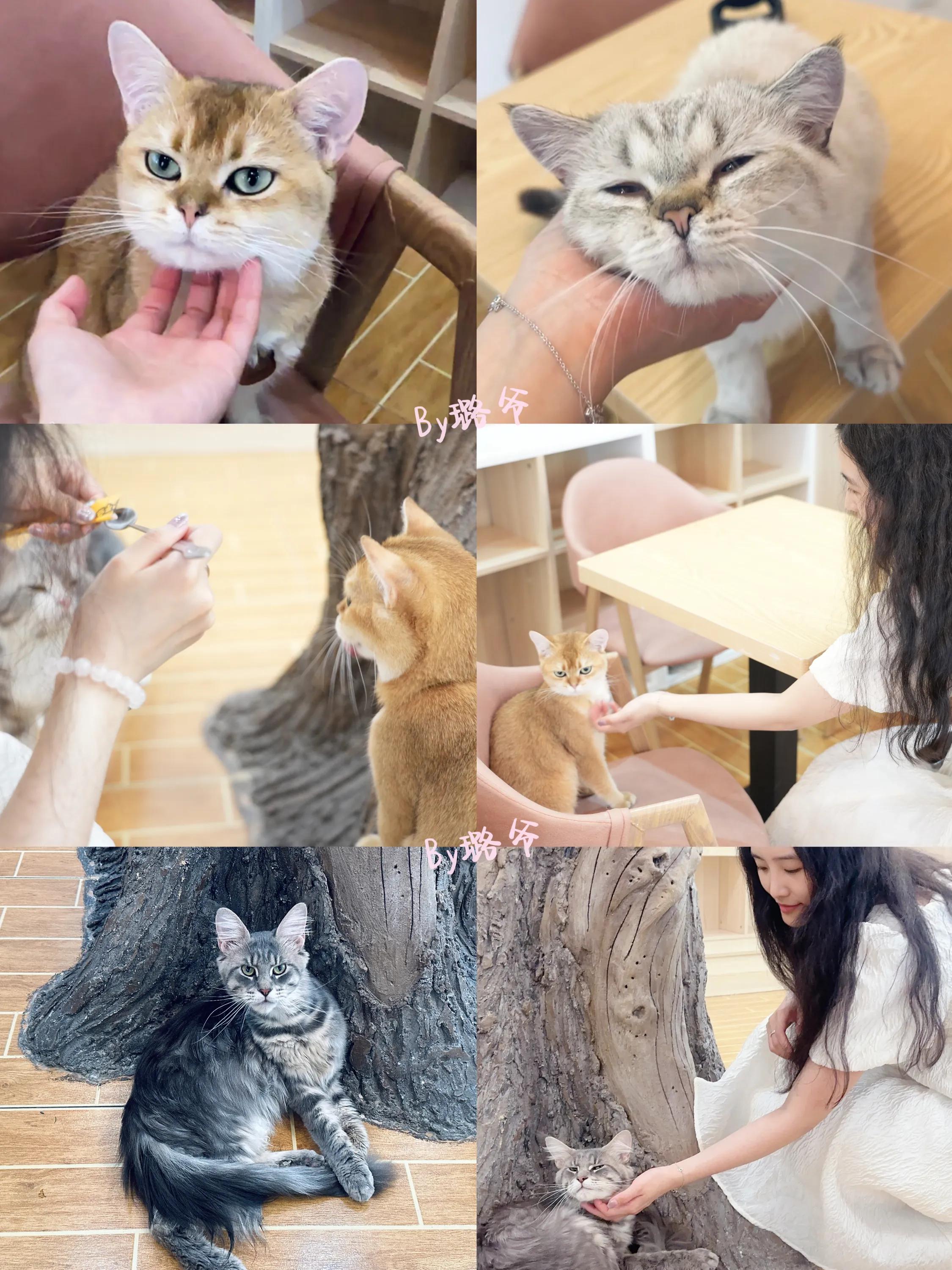 天目湖涵田度假村免费观景台,常州天目湖涵田度假村攻略