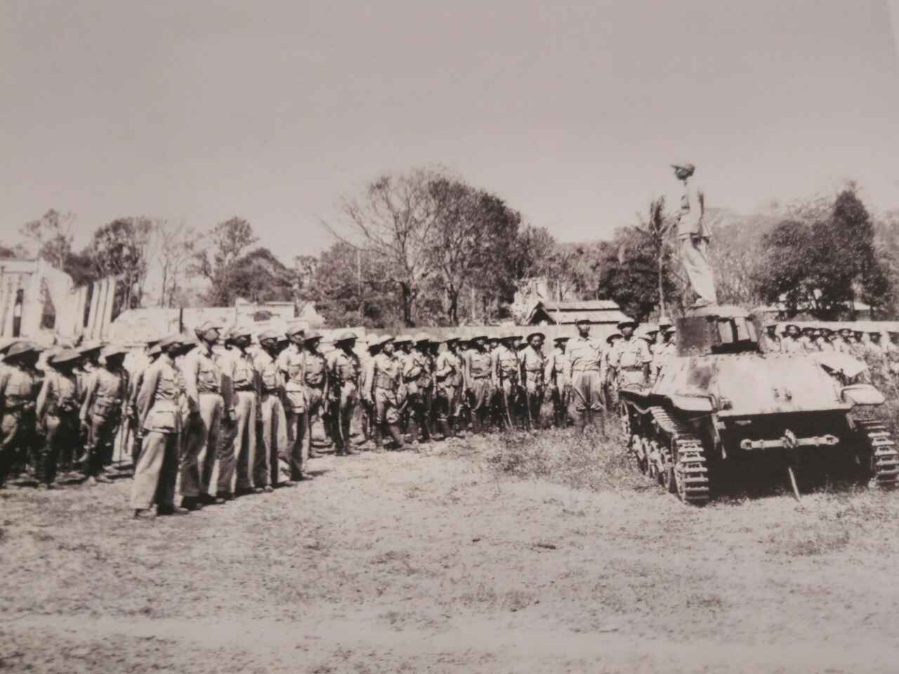 小小说寡妇,小小说电影小女孩