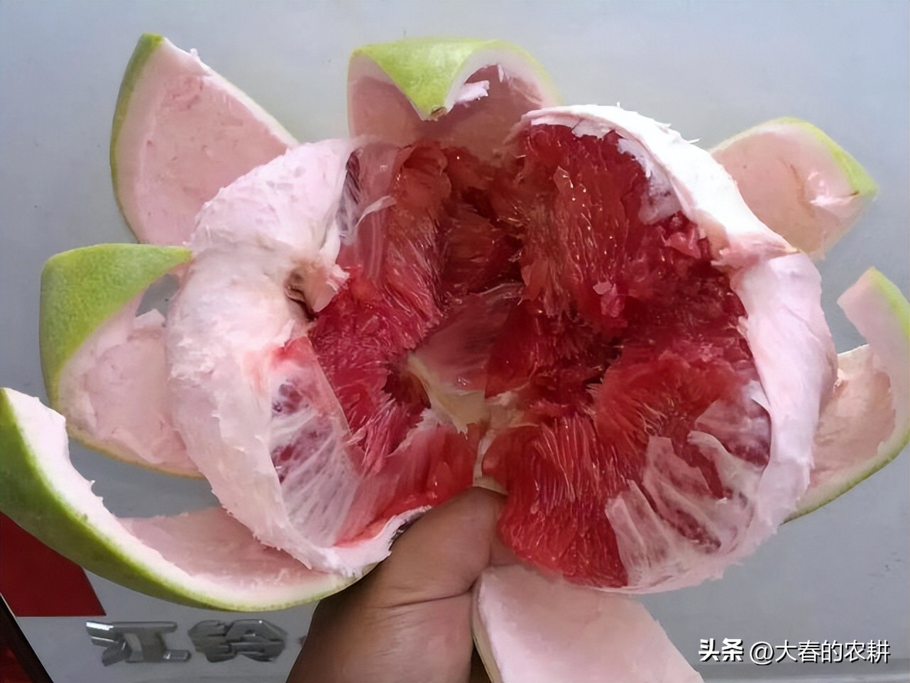 一斤100元的水果,一斤100元