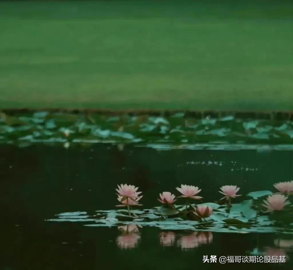 期货交易中如何正确实施止损方法,期货交易中最常见的10种止损方法