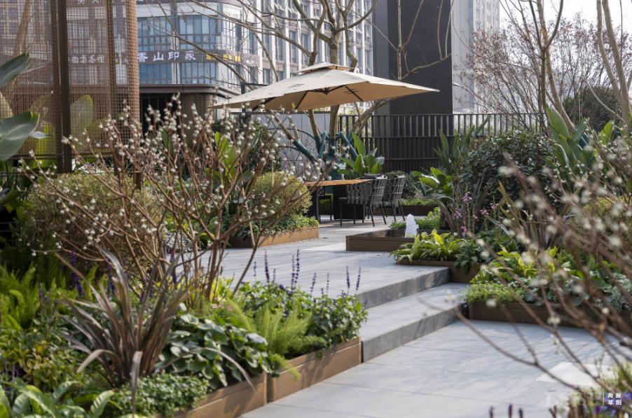 越秀成都天悦云萃,成都越秀天悦云萃126户型