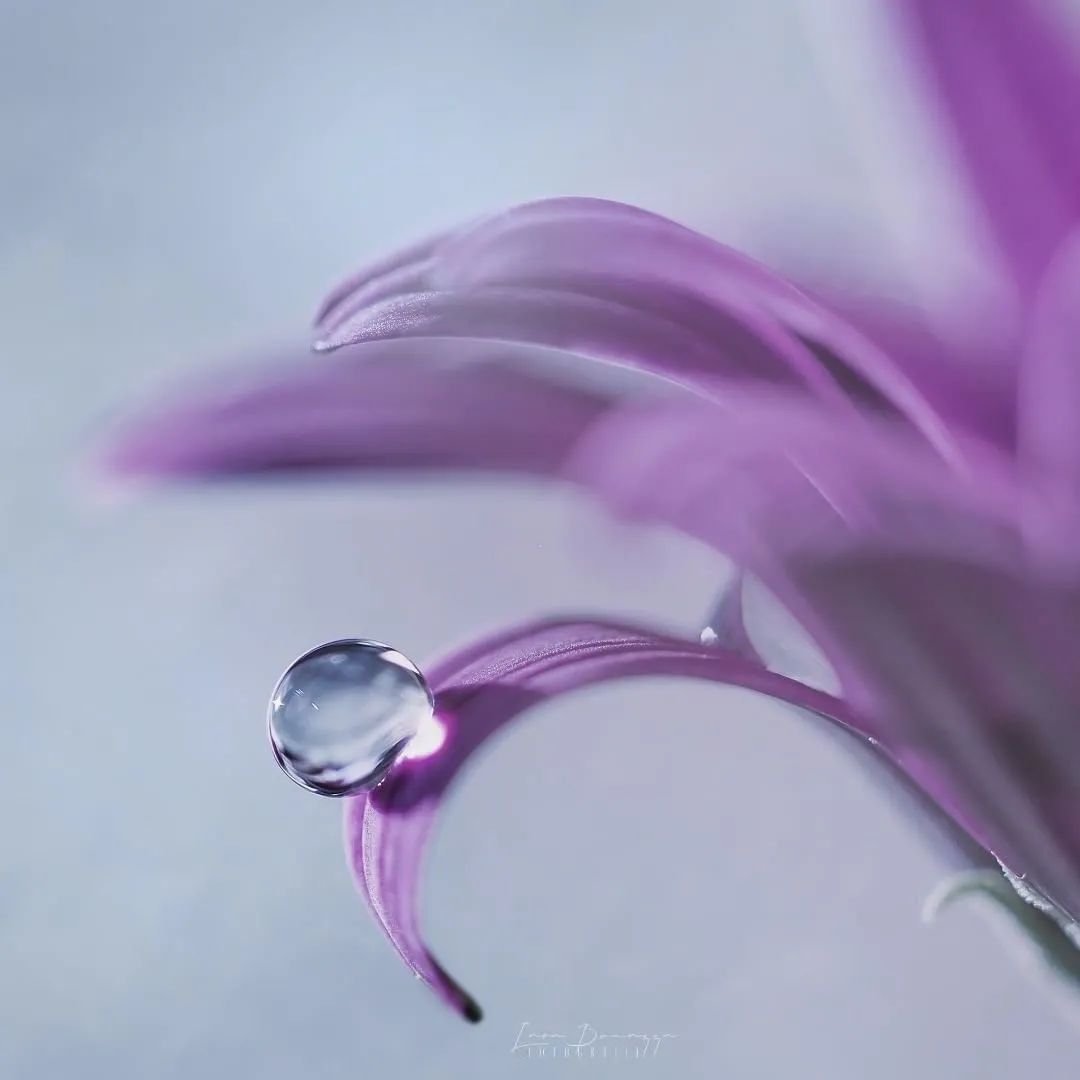 对知己的理解是什么,知己到底怎么理解