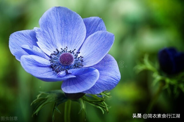 她做保姆这些年－豪门生活之危机公关（387）